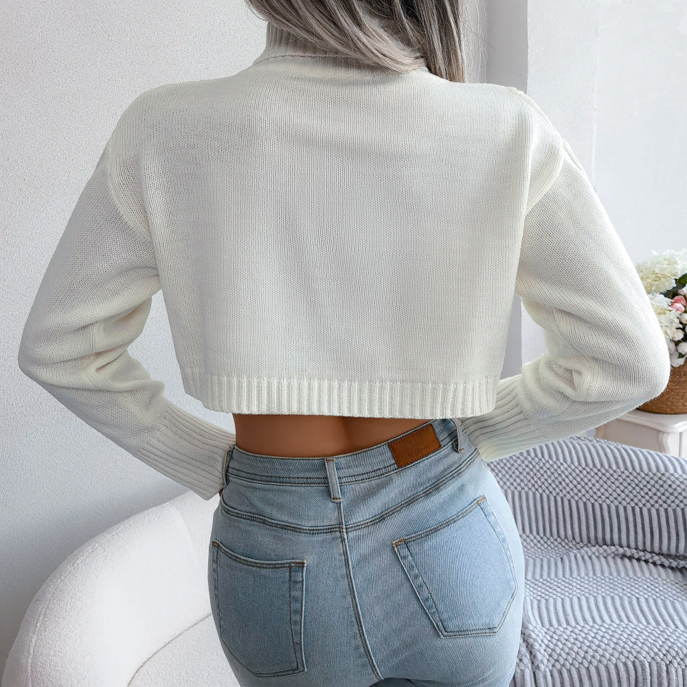 Turtleneck Cropped Sweater - TiffanyzKlozet